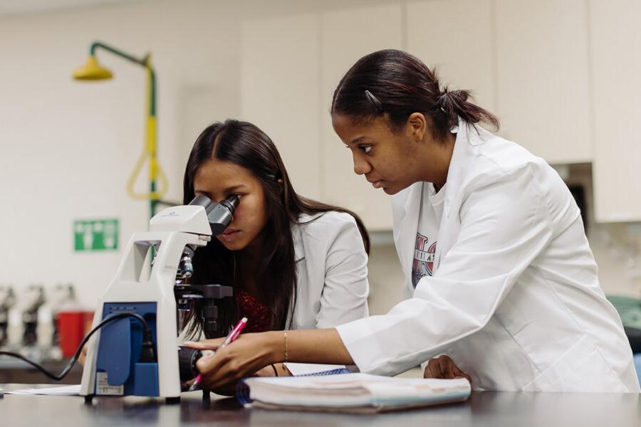 生物学学生在实验室里观察显微镜